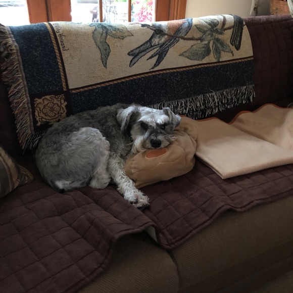 Meet your Posher, Anna - Picture 1 of 1